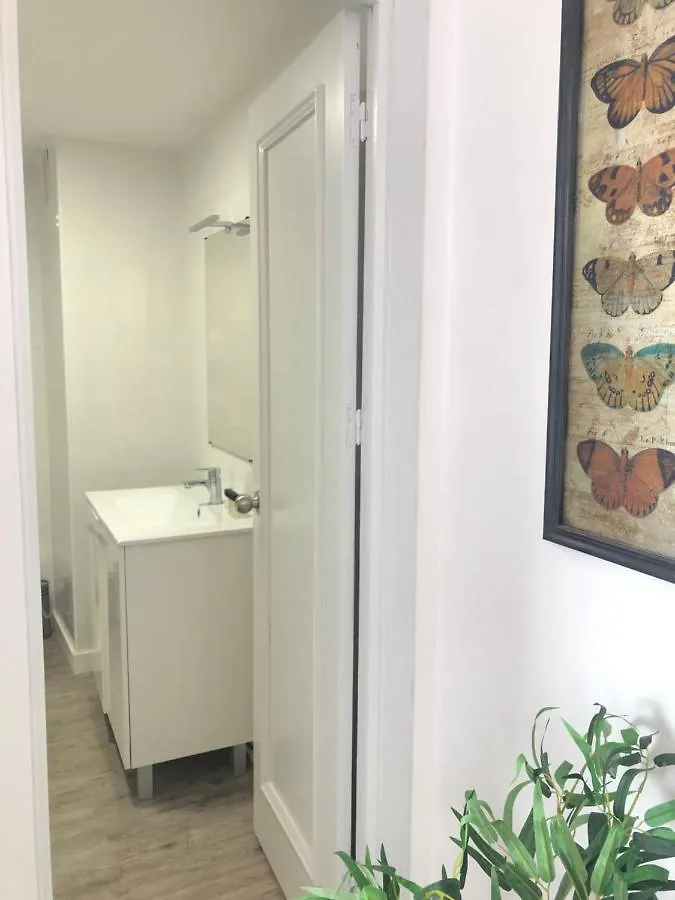 Catedral Olehousing Apartment Seville Spain