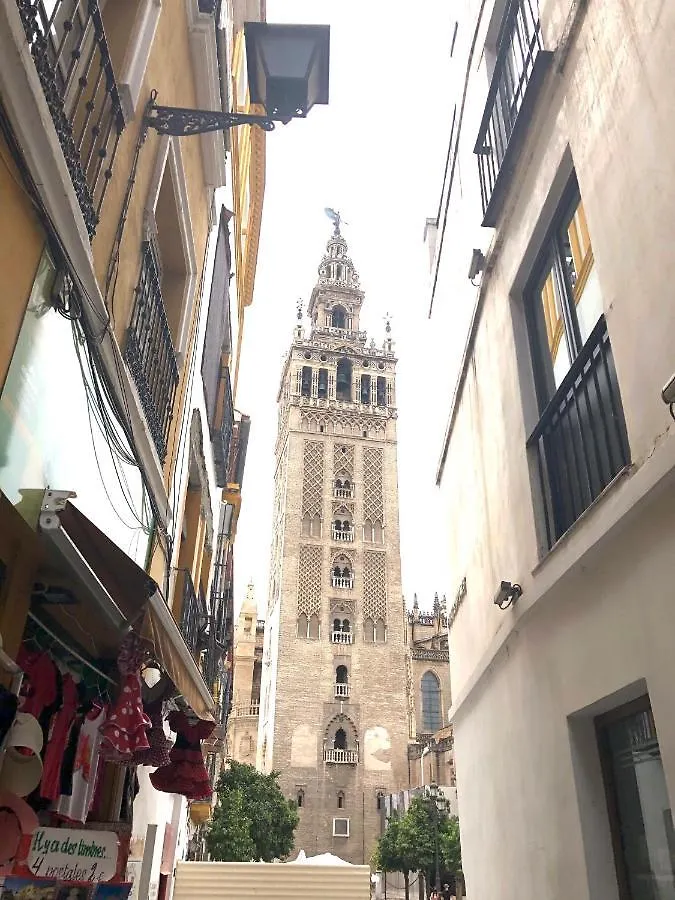 Catedral Olehousing Apartment Seville