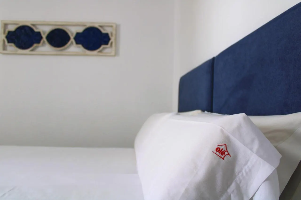 Catedral Olehousing Apartment Seville 0*,  Spain